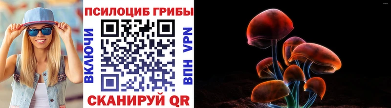 Галлюциногенные грибы MAGIC MUSHROOMS  где купить наркотик  Белозерск 